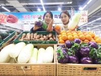 제주 농산물을 저렴하게