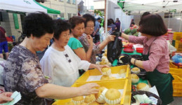 차령골축산물직거래장터 | 충남농협, 추석맞이 농·축산물 직거래 장터 개장