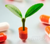 바이오봄울산1대리점 | 울산시, '바이오메디컬 국가산단' '지능형 미래車 Hi-tech+ 밸리' 조성 좌초