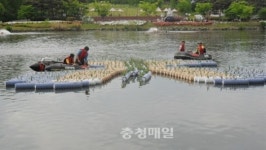 오창호수공원에 나비모양 섬이 생겼어요