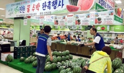 (주)수박이앤엠 | 진천군 수박 특별판촉행사