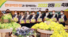 청주 현대백화점서 영동포도 특판전