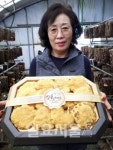 법인산청지리산약초골상황버섯 | 산청지리산약초골상황버섯, 농맘 브랜드 인정