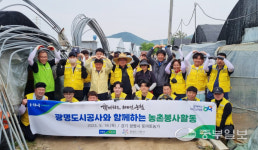 광명도시공사 노사, 토마토 농가 일손돕기 '구슬땀'