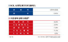 같은 'AI반도체 TOP'인데…개인은 왜 SOL에 몰렸나