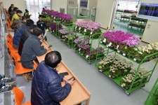 법인유진화훼 | 중부권 화훼산업 메카를 꿈꾼다