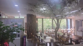 직접 만든 육수로 퀄리티 높인 쌀국수 ‘미스포’, 반값 전략 나서