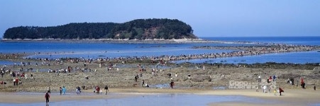 보령 무창포 '바닷길 열림' 12일부터 4일간