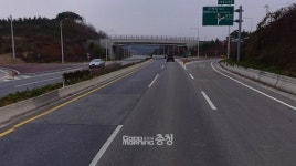 여성크로커다일예산내포 | 도로 한복판에 여성 속옷이?