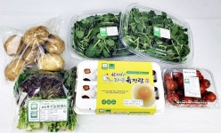 충주 '농산물 꾸러미' 완판…2차 '친환경 꾸러미' 판매 시동