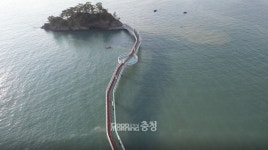 보령 무창포 닭벼슬섬 보고 주꾸미 즐길까?