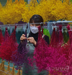 시들지 않는 ‘마법의 꽃’ 프리저브드 봄과 함께 생산 시작!