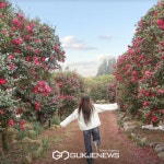 학고을관광농원.숯불가든 | "동백길 따라 걸으며 인생샷 도전해보세요"