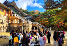 힐리차문화원 | 경주 신라문화원, '현대차로 떠나요 화랑의 나라로'프로그램 운영