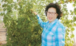 아둘람메디컬뷰티 | "돈보다 꽃 보는 재미에 살아요"…아둘람농원 임미은선교사