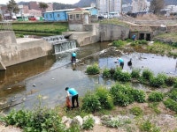 일동수도대행소 | K-water 진도수도지사, 진도천 하천정화 활동 실시