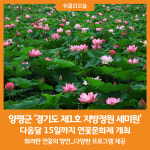 Foto de resultados de búsqueda de Naver 4