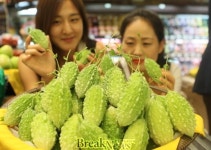 마마트 여주점(Ma-Mart 여주점) | 롯데百 광주점, 여름 웰빙채소 ‘여주’ 드셔보세요