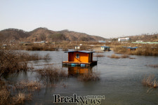 경기도 용인 송전저수지 월척붕어 쏟아져
