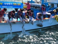 경남도, 수산자원 풍년 기원! 수산종자 방류 작전 돌입