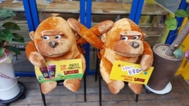 킹콩과일용호1동점 | 생과일쥬스 전문점 킹콩쥬스, 가맹점 오픈 이벤트 실시