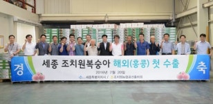 세종 조치원복숭아 홍콩 첫 수출