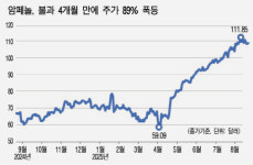 암페놀센싱코리아 유한회사 | AI ‘숨은 강자’ 암페놀, 최대 실적 예고