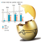 브에엘엔코-루이까스텔 | 루이까스텔, 황금알 낳는 강아지... 작년도 로열티 54억 '쑴풍'
