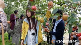 예천, 정보화마을 운영의 정석