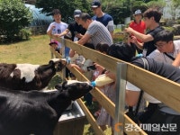선산농협 옥성지점 판매소 | 구미선산보건소, 옥성면 목장서 아빠애플 체험학습