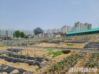 (주)아워홈팜한농공장구미점 | 구미시, 농업 경쟁력 UP…도농상생도시 실현 박차