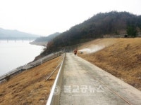 대한사료할인점.동아원사료안동총판사조 | 안동시, 조류인플루엔자(AI) 차단에 총력