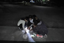 민하디지탈아트 | 서울도서관 디지펀아트 페스티벌