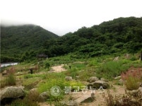 국립수목원 DMZ자생식물원 개원식