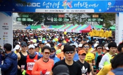 2024년 중동구지역 블록정비공사(동구 송림동 337 일원) | 하동군, 송림공원 일원 '섬진강 꽃길 마라톤대회' 성료