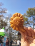 화순고인돌축제 들순이국화빵・바나나아이스크림 인기