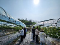 (주)서청주유통 | 청주시 농식품유통과, 농촌 일손 돕기 추진