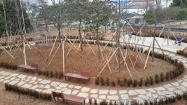 보성종합건기주 | 보성군, 보성종합사회복지관 녹색나눔숲 조성