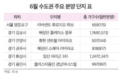 문화공간씨피알 | "DSR 시행 전 막차타자" 1만7000여가구 추가 공급