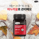 꿀벌의아침(맹동점) | 일교차 큰 환절기, 마누카꿀 한 스푼으로 시작하는 건강한 아침