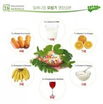 천기누설에 방영된 모링가 효능, 당뇨병에 적극추천 ‘화제’