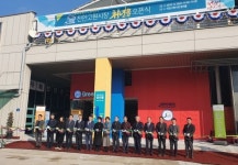 시장청년