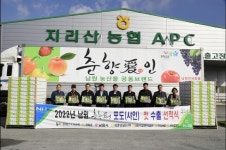 흥부자농산 | 남원 지리산 흥부골 샤인머스캣 포도, 올해 첫 베트남 수출