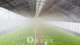 순천무인항공방제단 | 미세분무 무인방제 시스템 효과 '톡톡'