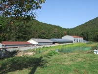 대웅바이오(주) 3공장-냉동제조허가(제2010-2호) | 사찰 앞 제조공장 허가 논란