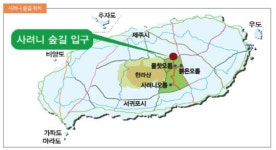 아울스자연치유욕 | 숲 속살 체험 활력 치유 온몸으로 안다