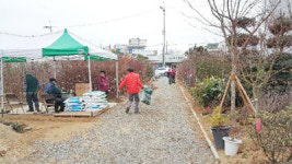 밀양시산림조합(1종) | 밀양시산림조합, 나무시장 개장