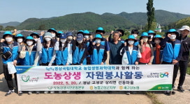 고성곱배인삼거류판매장 | 농협고성군지부, 인삼 꽃순 제거 작업 지원