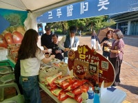 롯데웰푸드(주)세우점 | 부여 알밤 시리즈 홍보부스 운영, 롯데웰푸드와 부여군 상생 협업 돋보여