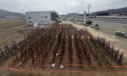 삼손농.임산물판매장 | 공주시산림조합, 2026년도 나무전시판매장 개장